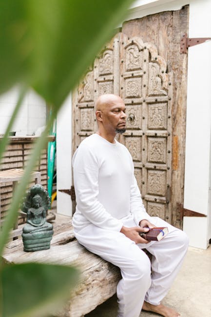 Dezvoltare carieră și formare